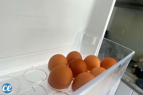 Œufs stockés dans le compartiment à œufs d'un réfrigérateur blanc.