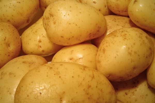 Pommes de terre lisses et dorées en extérieur.