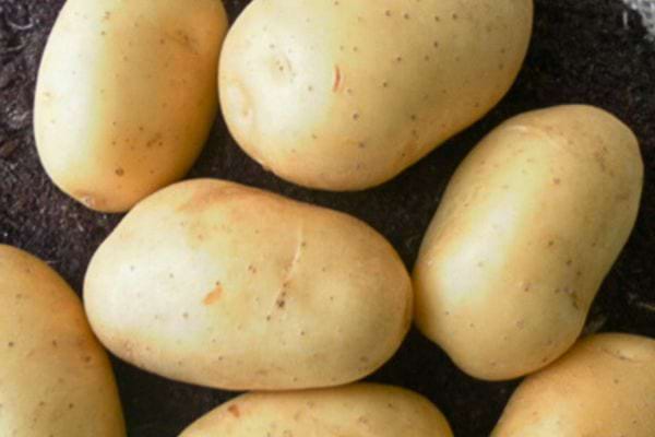 Pommes de terre sur sol noir, vue de dessus.