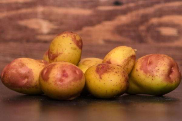 Petites pommes de terre roses, vue de côté.