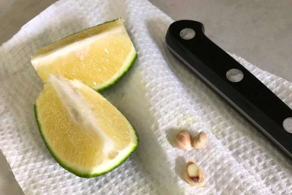 Citron vert coupé sur assiette; citron vert partiellement coupé sur essuie-tout.