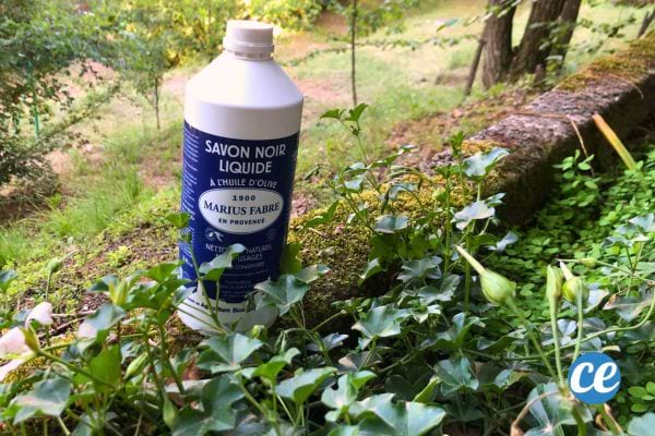 Bouteille de savon noir à l'extérieur.