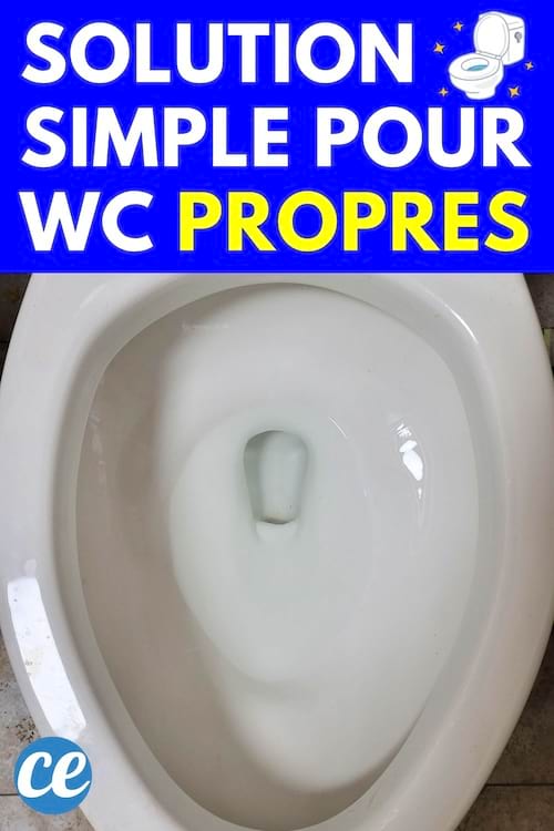 Fond de toilette propre