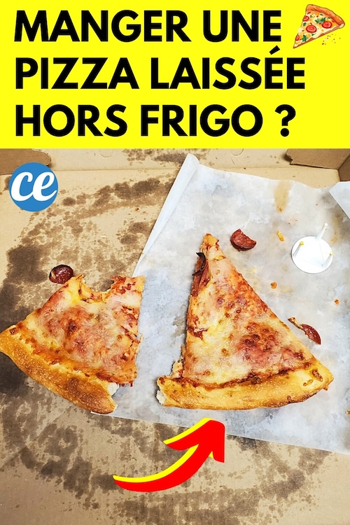 Puisje Manger une Pizza Laissée Hors du Frigo toute la Nuit Sans Risque