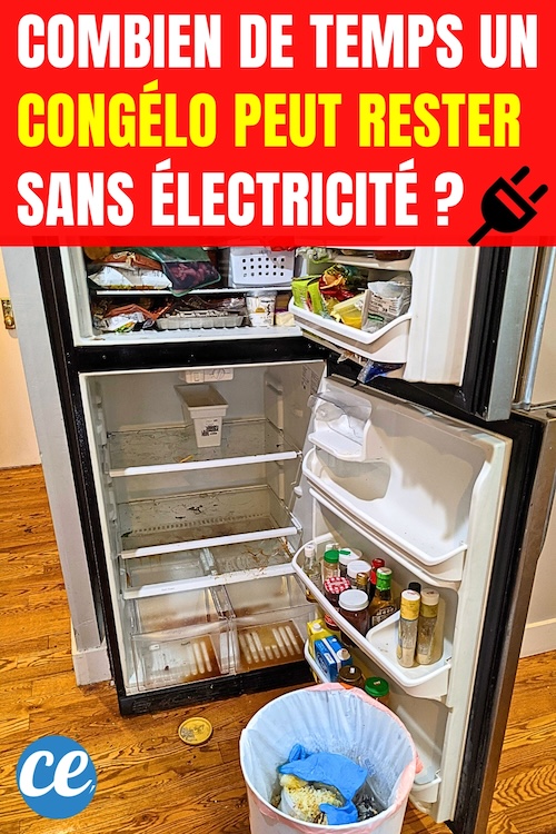 Combien de Temps un Congélateur ou un Frigo Peut Rester Sans Électricité