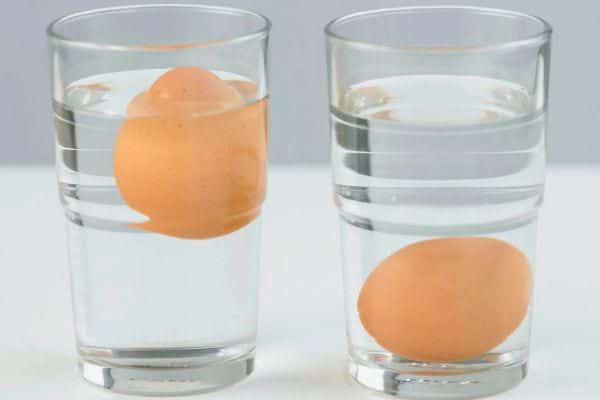 Deux œufs testés pour la fraîcheur dans des verres d'eau, l'un flotte et l'autre coule.