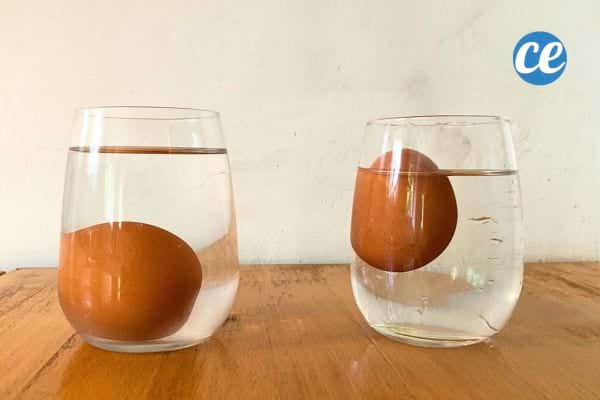 un oeuf dans un verre d'eau qui coule et un autre qui flotte