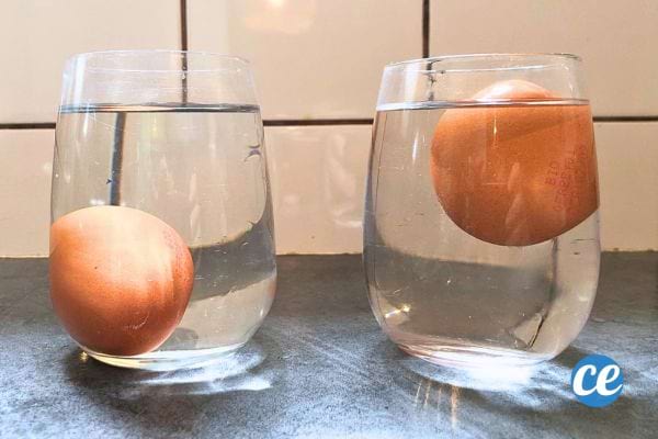 un oeuf dans un verre d'eau qui coule et un autre oeuf qui flotte dans un verre d'eau