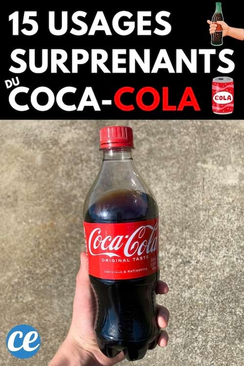 Une personne tenant une bouteille de Coca