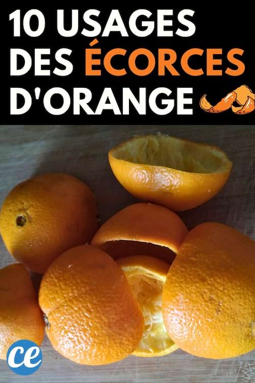 Des écorces d'orange