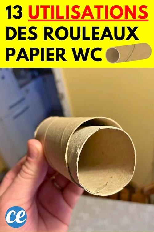Une personne tenant un rouleau de papier WC
