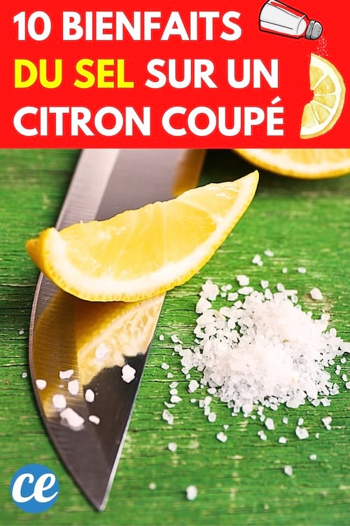 Une tranche de citron coupée avec du sel dessus pour profiter des bienfaits