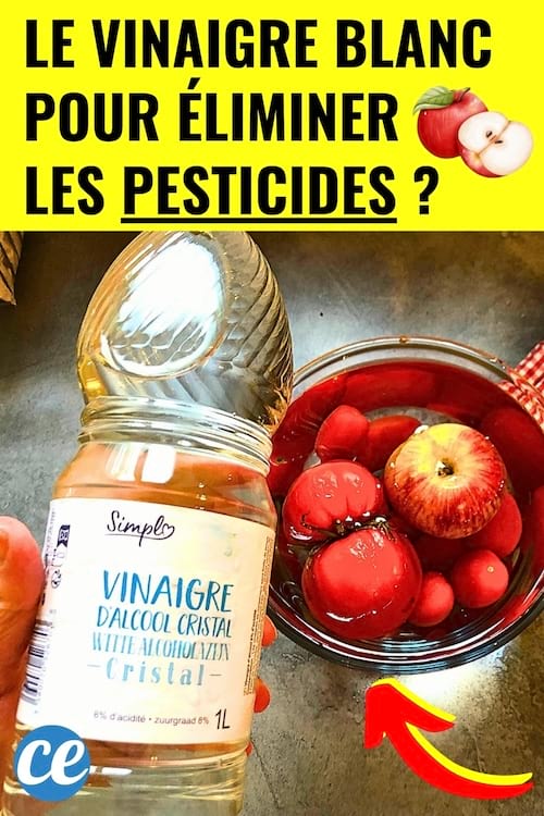 Des pommes qui sont dans du vinaigre blanc pour enlever les pesticides