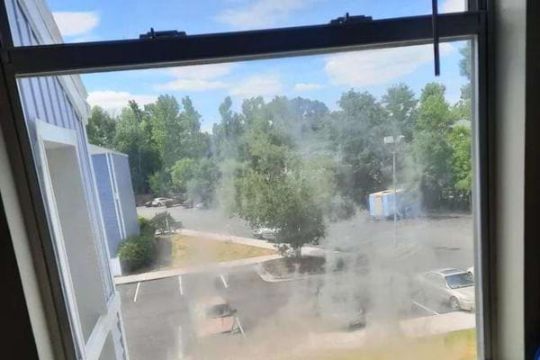 Fenêtre ouverte donnant sur un parking arboré.