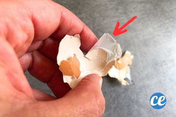 La pellicule de la coquille d'oeuf pour soigner une ampoule