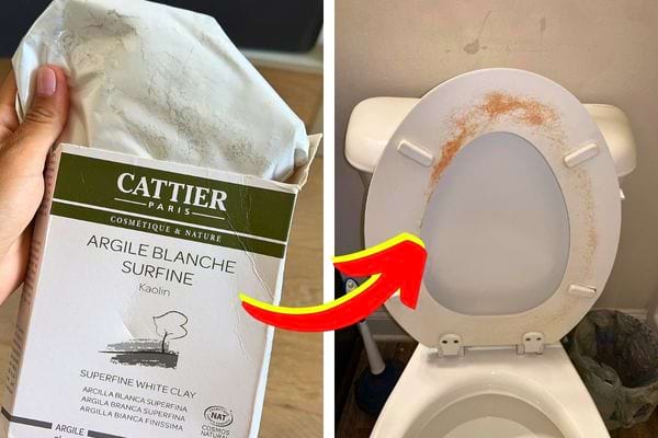 Une boîte d'argile blanche et une lunette de toilettes propre.