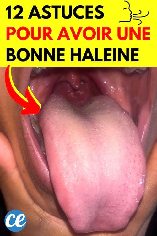 Une bouche ouverte et la langue tirée avec une bonne haleine