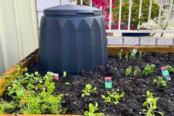 Composteur noir dans un jardin.