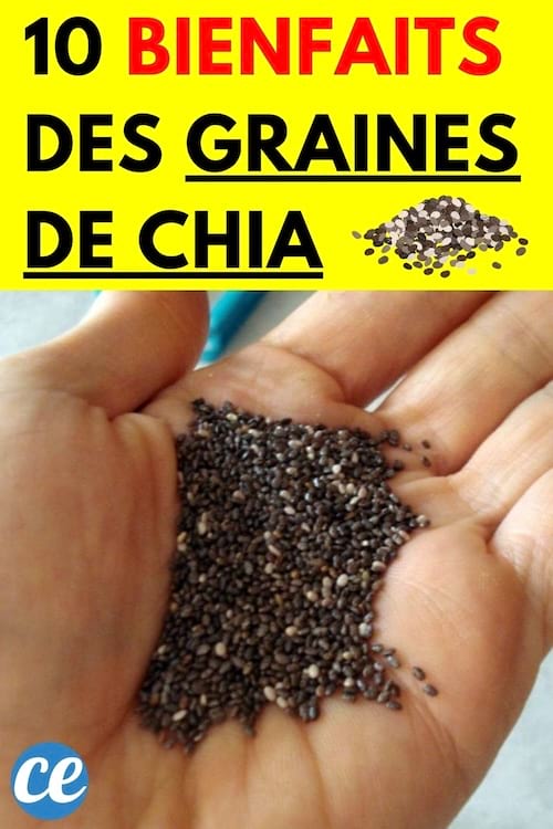 Graines de chia dans la paume d'une main