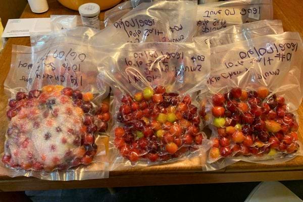 Cerises sous vide, emballées pour congélation.