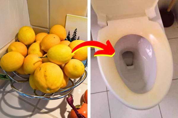 Un panier de citrons et des toilettes éclatantes.