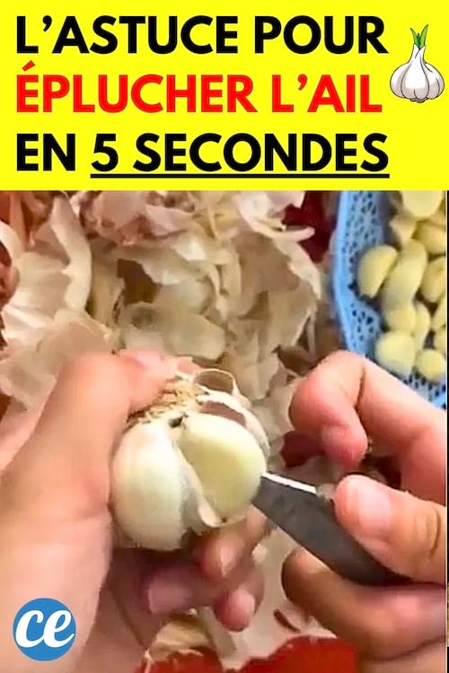 Une main qui épluche une tête d'ail avec un couteau rapidement