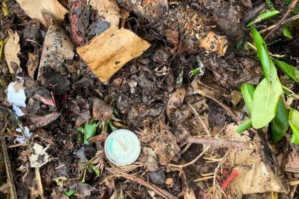 Compost avec feuilles et déchets biodégradables.