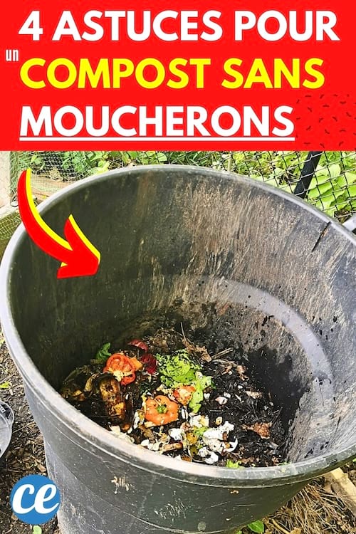 4 Astuces pour un Compost Sans Aucun Moucherons.