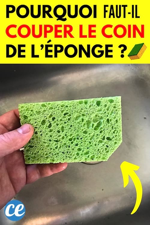 Une éponge dans la main avec un angle coupée pour faire la différence