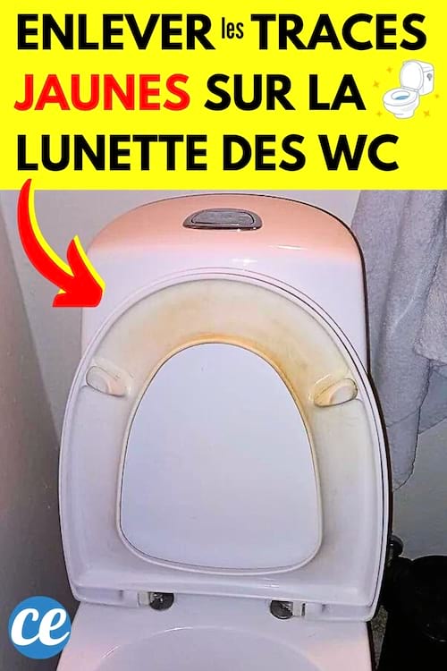Une lunette de WC qui est jaune et l'astuce pour enlever les traces