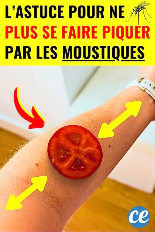 Une tomate qui est frottée sur la peau du bras pour éviter les piqûres de moustiques