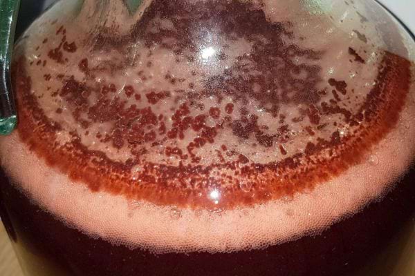 Fermentation de cerises dans un récipient en verre.
