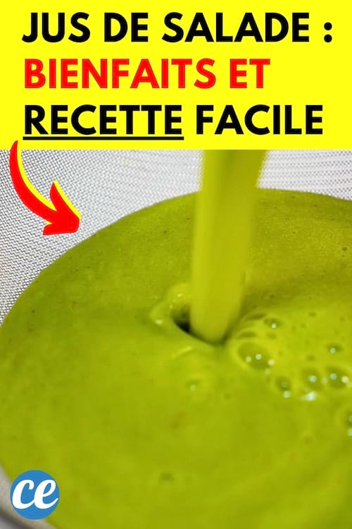 Du jus de salade versé dans un verre pour profiter de ses bienfaits
