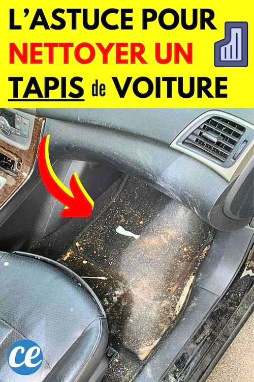 Un tapis de voiture très sale qui va être nettoyé en profondeur avec une brosse pour WC