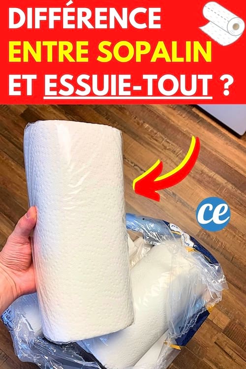 Sopalin ou essuie-tout : quelle est la différence ?