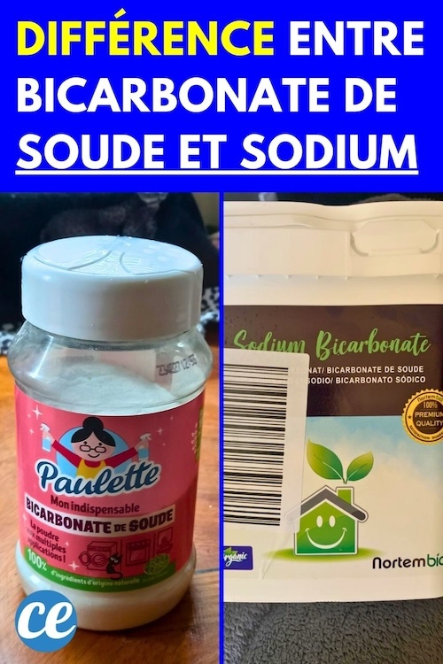 Quelle Différence Entre Bicarbonate de Soude et Sodium