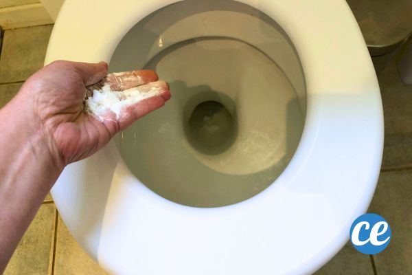 Pourquoi Mettre cette Poudre dans les WC Avant de Partir en Vacances