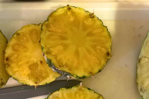 Tranches d'ananas moisi.