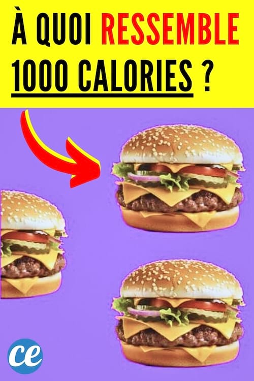 À quoi ressemble 1000 calories dans les aliments du quotidien