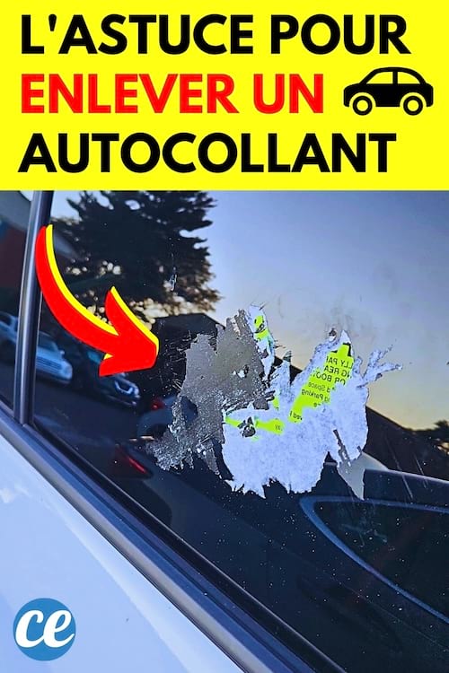 Un autocollant sur une voiture qui est déchiré et qui ne veut pas s'enlever
