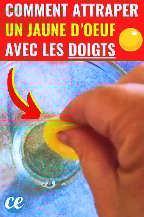 Un jaune d'oeuf qui est attrapé avec les doigts pour le séparer du blanc
