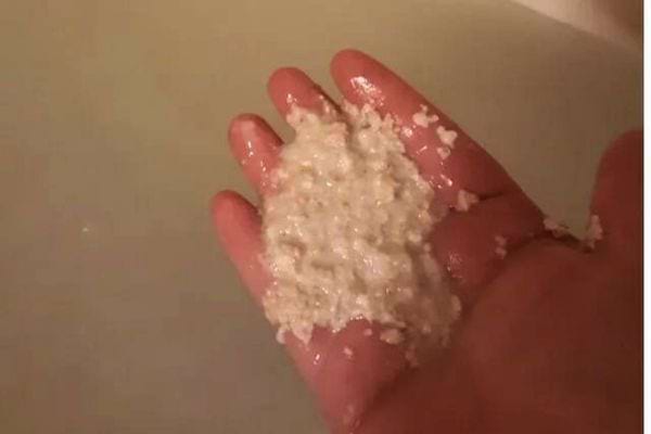 Avoine dans la main.