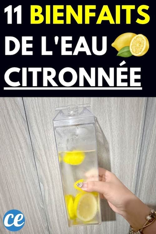Femme tenant une bouteille avec des morceaux de citron dans de l'eau