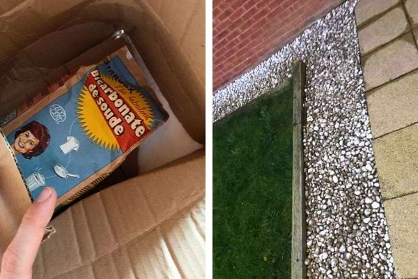 Boîte de poudre à laver ouverte dans un carton, bordure de jardin avec graviers.