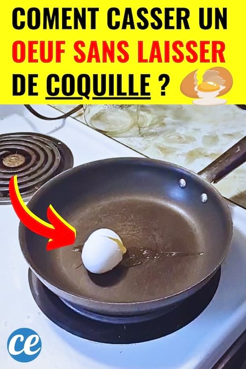Un oeuf cassé dans la poêle sans coquille