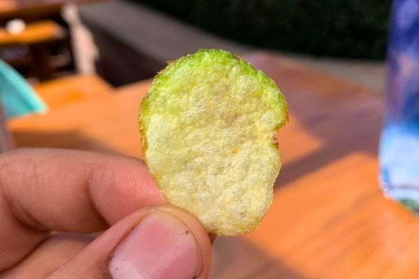 Une chips de céleri tenue par la main.