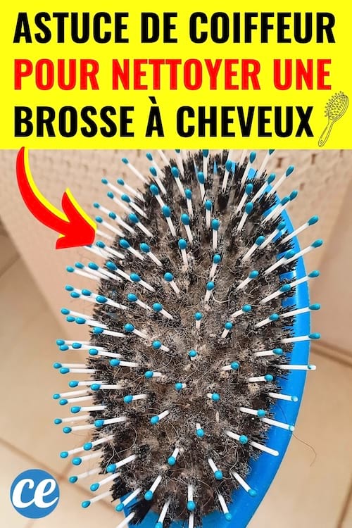 Une brosse à cheveux toute sale qui va être nettoyée avec du bicarbonate