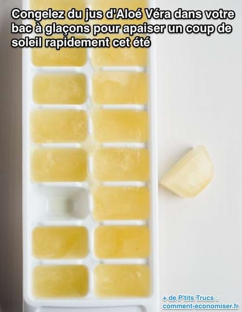 Congeler du jus d'aloe vera