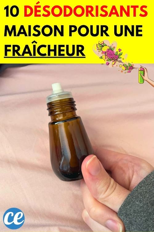 Un désodorisant dans une main