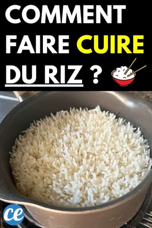 Riz dans cuiseur